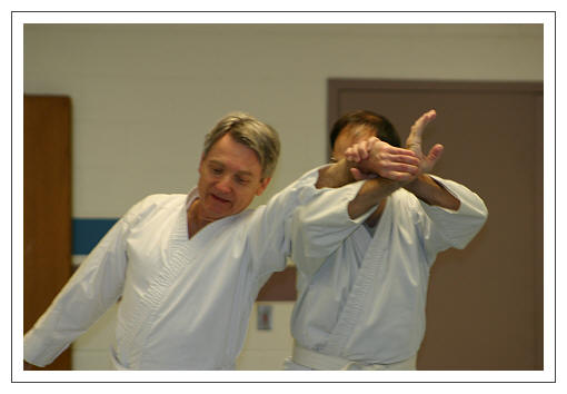 Diamond State Aikido, 